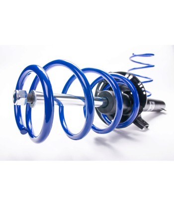 Suspension Sport AP SUSPENSION BMW SERIE 3 (E30) (4 cylindres) (-55, -30mm) rembourrage situé sous